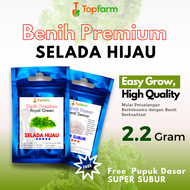 Benih Topfarm / Benih Seladah Keriting / Benih Selada Bokor / Benih Selada Hijau / Benih Selada Terb