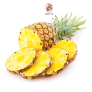 JOSEPHINE PINEAPPLE 1PC