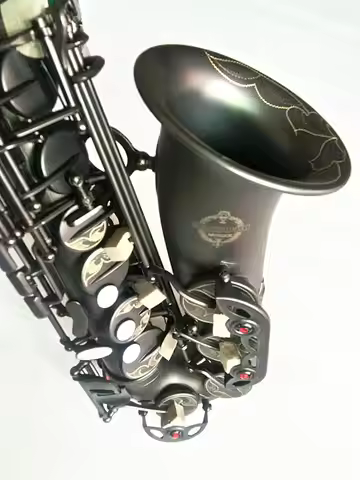 New Alto Saxophone Professional Musical Instruments Saxophone E Flat Matte Black Nickel Plated Surfa