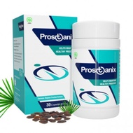 DKY - 281 PROSTANIX OBAT HERBAL PROSTAT PRIA BPOM ORI