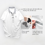 Basic Youthful elegant Polo Striple T-shirt Regular Fit - Cold Crocodile Cotton T-Shirt