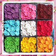 Edible GUMPASTE flower/ Cake Decoration GUMPASTE FLOWER GUMPASTE S4 contains 12 pcs Edible Flower Ed