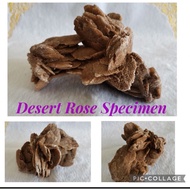 Desert Rose Specimen