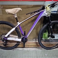 Raleigh Pro 29" MTB Bicycle