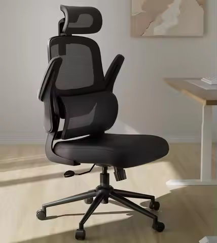 Ergonomic Office Chair, Desk Chair with Adjustable Lumbar Support, Home Office Desk Chair with 2D He