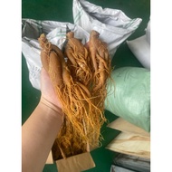 Dried Red Ginseng Large Roots (2 POTS=100Gr)