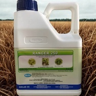 Hextar Ranger 250 4Liter / Triclopyr-butotyl 32.1% / Herbicide Ceroma Senduduk Akar Kala Ruas GARLON