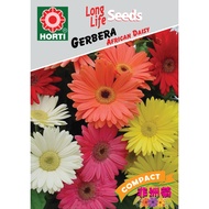 Singapore Horti Flora Pte Ltd Gerbera African Daisy Seeds
