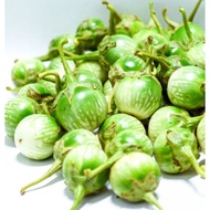 F1 LALAP EGGPLANT SEEDS - Superior Variety, Disease Resistant, Abundant Results