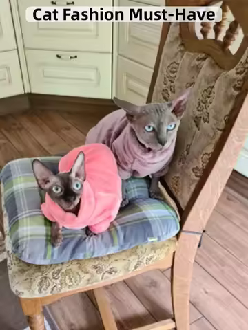 Fashionable Clothes For Cats Sphynx Cat Sweater Kitten Clothing Hound Dog Hoodie Clothes For Sphinx 