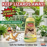 No geckos indoors ML Lizard repellent spray Penghalau cicak Spray cicak paling berkesan Cicak repell