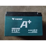 天能电池 A+ 6-DZF-12.3(12V12.3AH) GEL BATTERY 3.9KG±