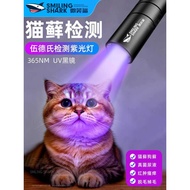 Cat Dog Test Lamp