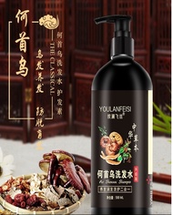 500ml Youlanfeisi Polygonum Black Hair Shampoo Polygonum Multiforum Black Hair Shampoo He Shou Wu Shampoo SG Ready Stock