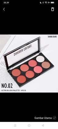 SIVANNA COLOR BLUSH ON PALLETE / SIVANNA COLOR Eyeshadow
