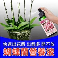 蝴蝶蘭營養液 快速促花箭開花 有機營養液 蝴蝶蘭有機肥料 防黃葉/爛根/黑斑/病葉