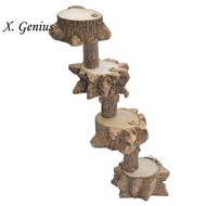 Bird Platform Perch Playground for Budgie Parakeet, Cage Natural Wood Play Stand Parrot Flat Perches