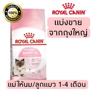 [แบ่งขาย] อาหารแมว Royal canin สูตรbaby&amp;Mother 500g 800g 1kg อาหารแมวรอยัลคานินแบบแบ่งขาย