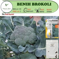 10 biji benih BROKOLI BROCCOLI seeds hijau