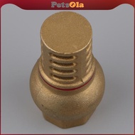 [PETSOLA] DN15 DN20 DN25 DN32 DN40 DN50 Female Thread Foot Valve Bottom Valve Plumbing Connector