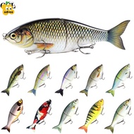 ADREE Sea Fishing Lure, Trolling Realistic Trout Swinning Bait, 2025 Ultra Large 178mm 81g Luya Mini