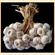 ◲ ⚓ ✢ ♞,♘1kg Medium Native Ilocos Bawang (Bundled per kilo)