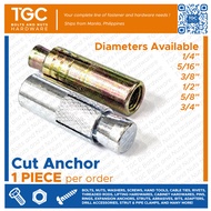 TGC 1PC Cut Anchor 1/4 up to 3/4  | Expansion Bolt | Concrete Anchor TGC