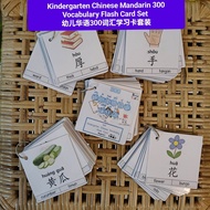 Set Kad Belajar Bahasa Cina(300 Perkataan)–Tahap 0 Asas， maksud Inggeris+maksud Bahasa Melayu+pinyin