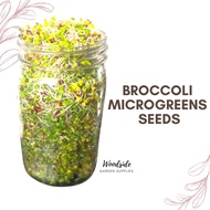 Microgreens/Sprouting Seeds Alfalfa/Broccoli,Red Cabbage,Radish Daikon,Red Radish,Sunflower,Maple,Buck/Wheatgrass,Beets
