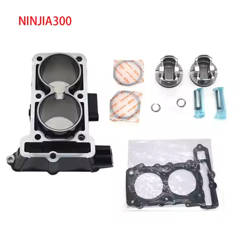 Motorcycle Cylinder Piston Gasket Kit STD 62mm 249cc Big Bore 67mm 291cc For Kawasaki 13-24 Ninja300