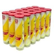 Wilson Red Tennis Ball 4, Premium Tennis Ball Wilson Tennis Ball