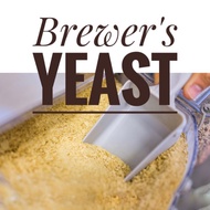 Brewer's Yeast Powder