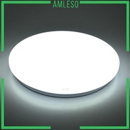 [Amleso] 6500K 36V LED Ceiling Lights Decorative Flush Mounted Ceiling Light