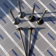 Sesuai untuk Land Rover AJ200 Diesel Valve