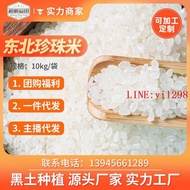 溢田東北大米20斤大米珍珠米10kg壽司米粳米大米  露天市集  速發 現貨