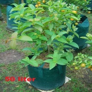 HIJAU Planter Bag 50L Easy Grow Green Planter Bag Fruit Plant Pot 50L L