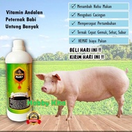 Vitamin babi mempercepat besar DAMOS PLUS vitamin babi nafsu makan