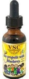 加拿大VSC 藍莓蜂膠液(兒童蜂膠)30ml (2000萬產品責任險); 有效期2022年9月