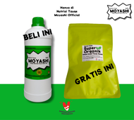 Nutrisi Tauge Moyashi Penggemuk Tauge Panen Berlimpah