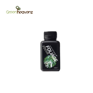GHZ Foliage Focus 1L | 250ML