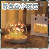 DIY鬱金香小夜燈手工包 送禮裝飾 睡眠燈 LED鬱金香小夜燈（20朵粉色鬱金香/USB插電款/全套DIY材料包)