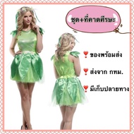 tinkerbell Adult irish ireland Green fairy costume