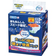 Japan Ichiban Adult Replacement Diaper Night Type (Extra Large Version) (22 Pieces/Pack)