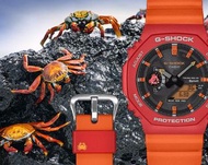 卡西歐 G-SHOCK 與 查爾斯·達爾文基金會 (Charles Darwin Foundation)  深水埗 有門市大量現貨 送贈品靚錶布 正貨 G-shock Casio 錶 卡西歐 GSHO