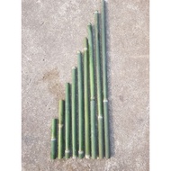 Bamboo bird nest is about (30 - 65cm) long, size: 812cm, used to raise birds, geckos, pets...etc