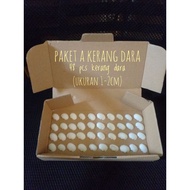 PRACTICAL DOVE SHELL SET | Shell Shell