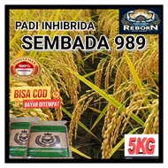 Benih Padi SEMBADA 989 Bibit Padi HIBRIDA Super Unggul Kualitas terbaik KEMASAN 5kg