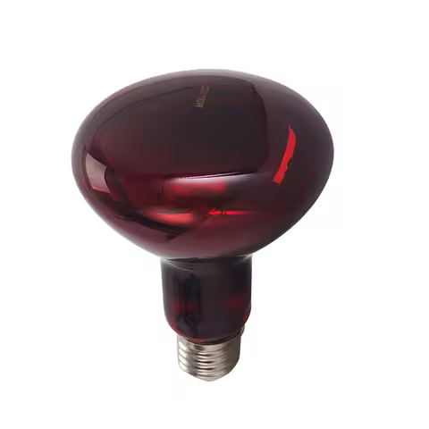 E27 Reptile Heating Bulb Warmer Heat Lamp Daylight 100W Red Infrared for Amphibians Turtle Hedgehogs