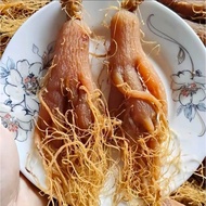 PREMIUM DRIED RED GINSENG (100Gr 2 Roots)