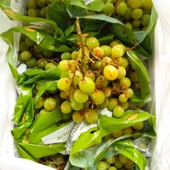 Anggur Hijau Autumn Crisp